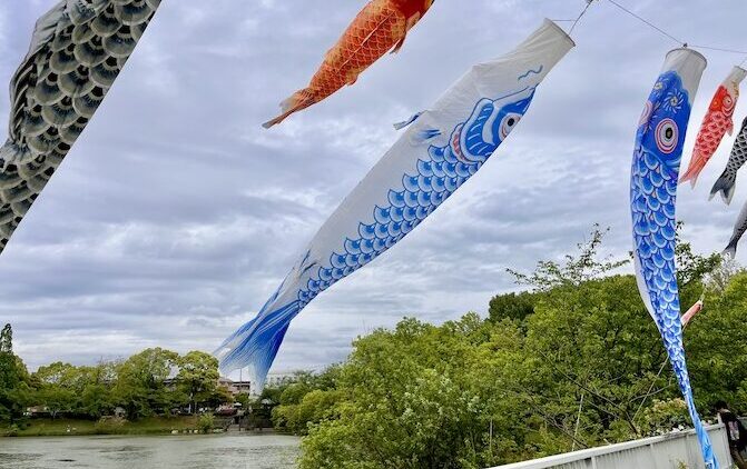 出世鯉のぼり☆送料が高くなる前に値下げいたしました☆ 出世鯉のぼり☆送料が高くなる前に値下げいたしました☆